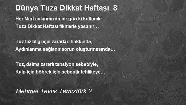 Mehmet Tevfik Temiztürk 2