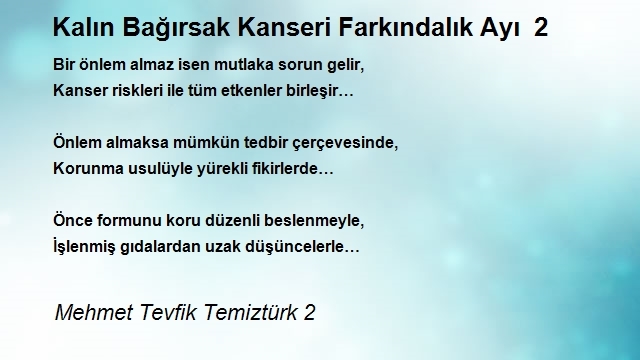 Mehmet Tevfik Temiztürk 2