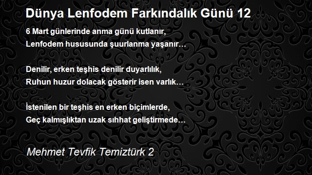 Mehmet Tevfik Temiztürk 2