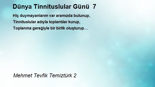 Mehmet Tevfik Temiztürk 2