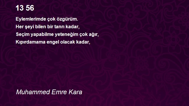 Muhammed Emre Kara