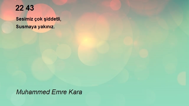 Muhammed Emre Kara