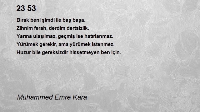 Muhammed Emre Kara