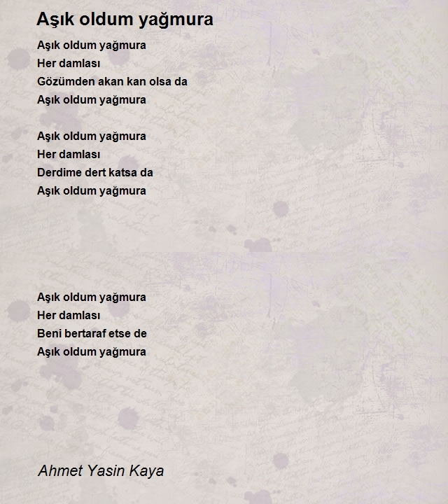 Ahmet Yasin Kaya