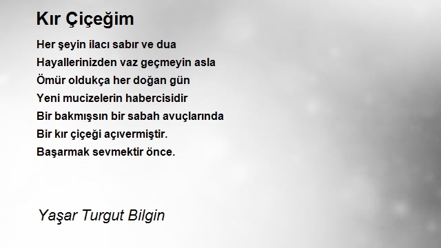 Yaşar Turgut Bilgin