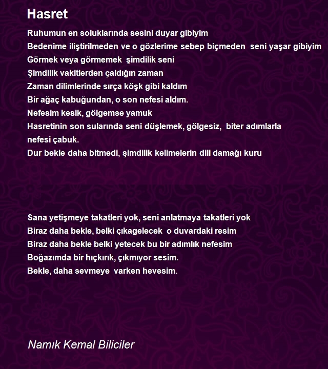 Namık Kemal Biliciler