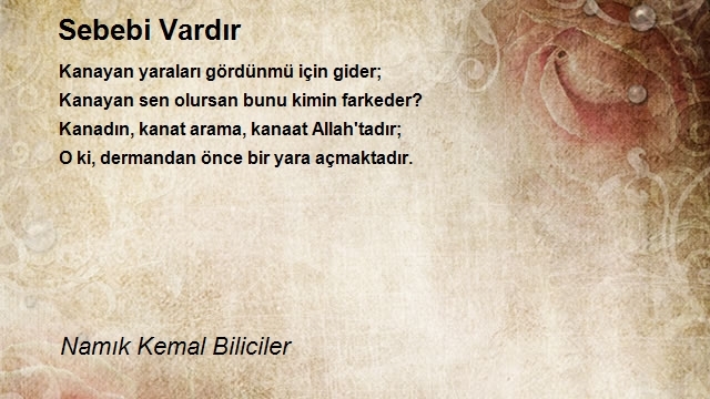 Namık Kemal Biliciler