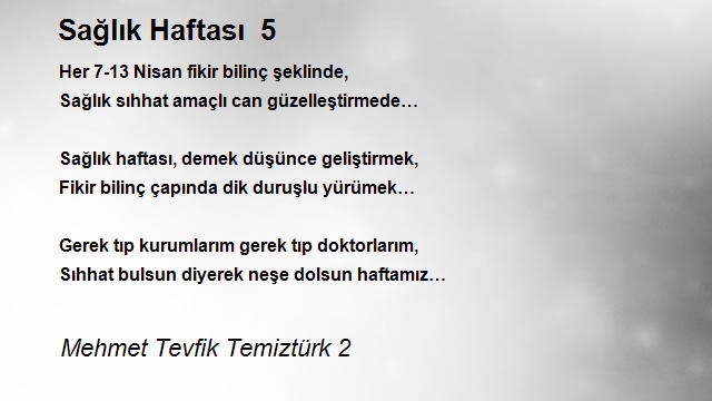 Mehmet Tevfik Temiztürk 2