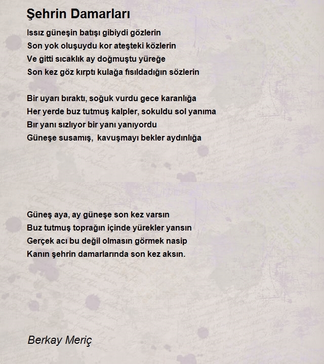 Berkay Meriç