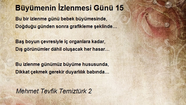 Mehmet Tevfik Temiztürk 2