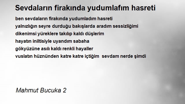 Mahmut Bucuka 2