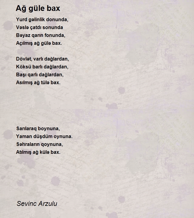 Sevinc Arzulu