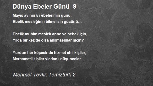 Mehmet Tevfik Temiztürk 2