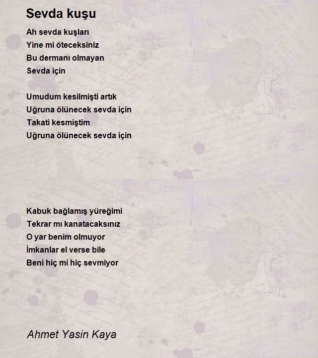 Ahmet Yasin Kaya