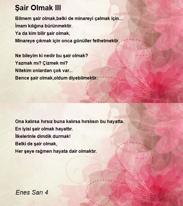 Enes Sarı 4