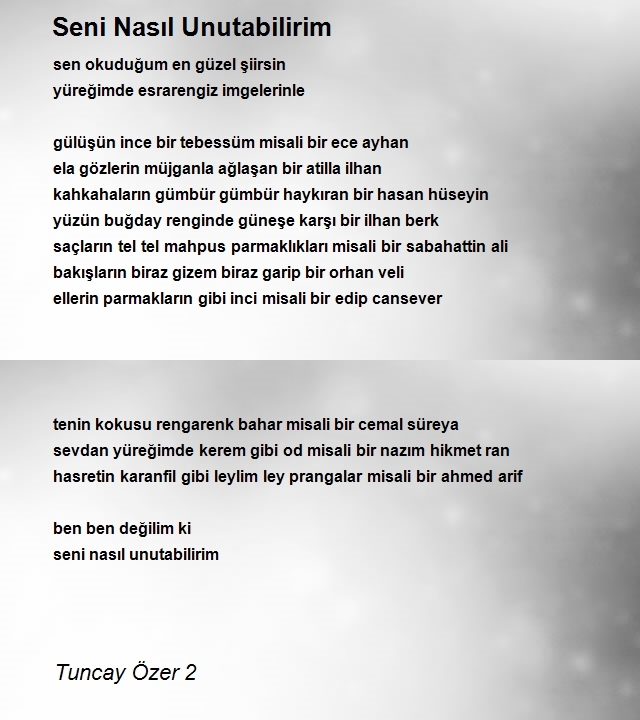 Tuncay Özer 2