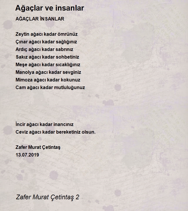 Zafer Murat Çetintaş 2