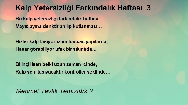 Mehmet Tevfik Temiztürk 2