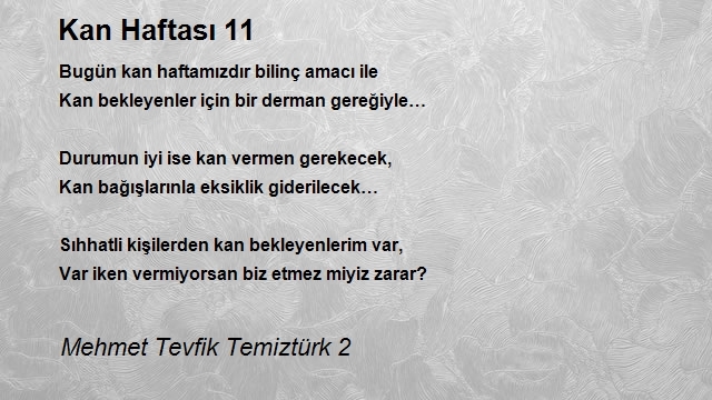 Mehmet Tevfik Temiztürk 2