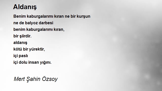 Mert Şahin Özsoy