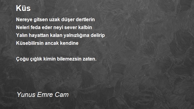 Yunus Emre Cam