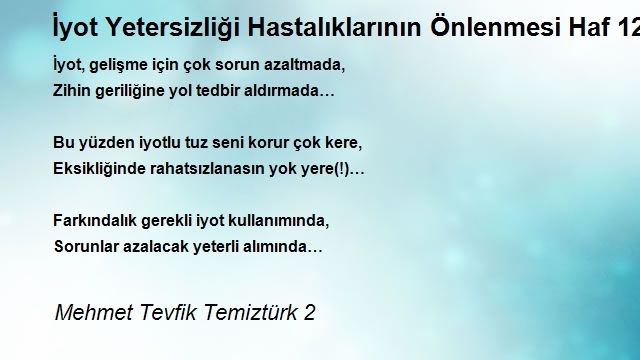 Mehmet Tevfik Temiztürk 2