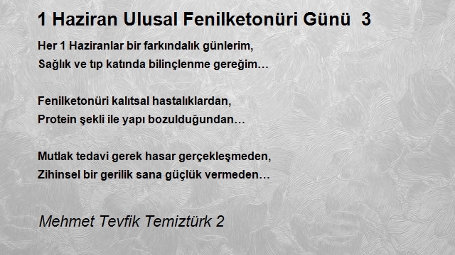 Mehmet Tevfik Temiztürk 2