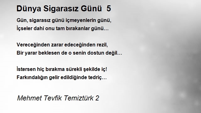 Mehmet Tevfik Temiztürk 2