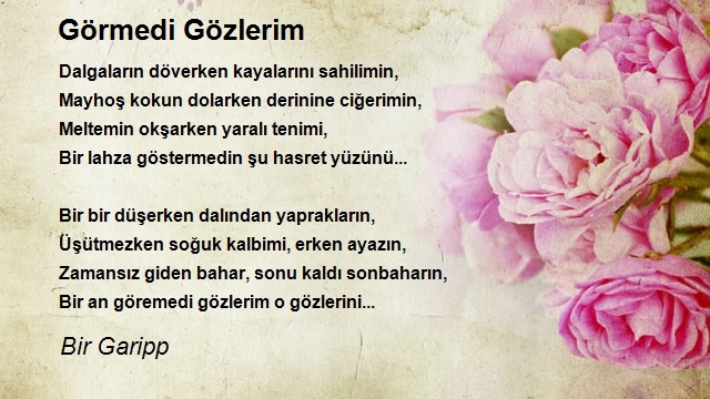 Bir Garipp