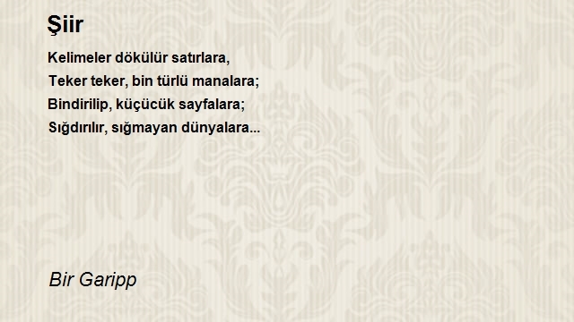 Bir Garipp