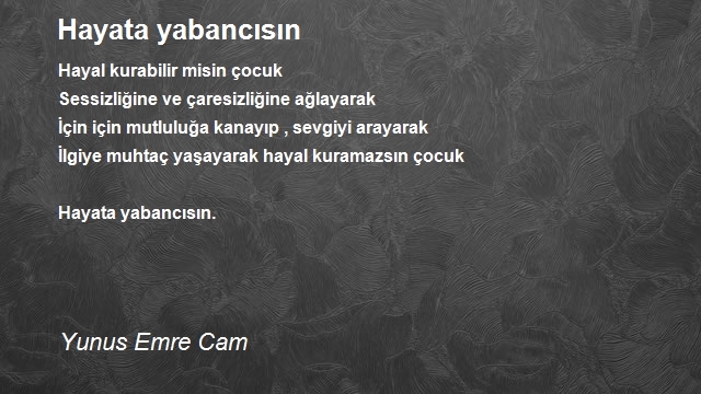 Yunus Emre Cam