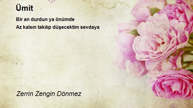 Zerrin Zengin Dönmez