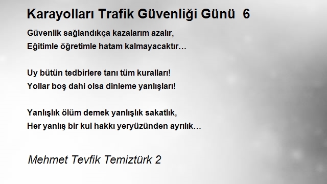 Mehmet Tevfik Temiztürk 2