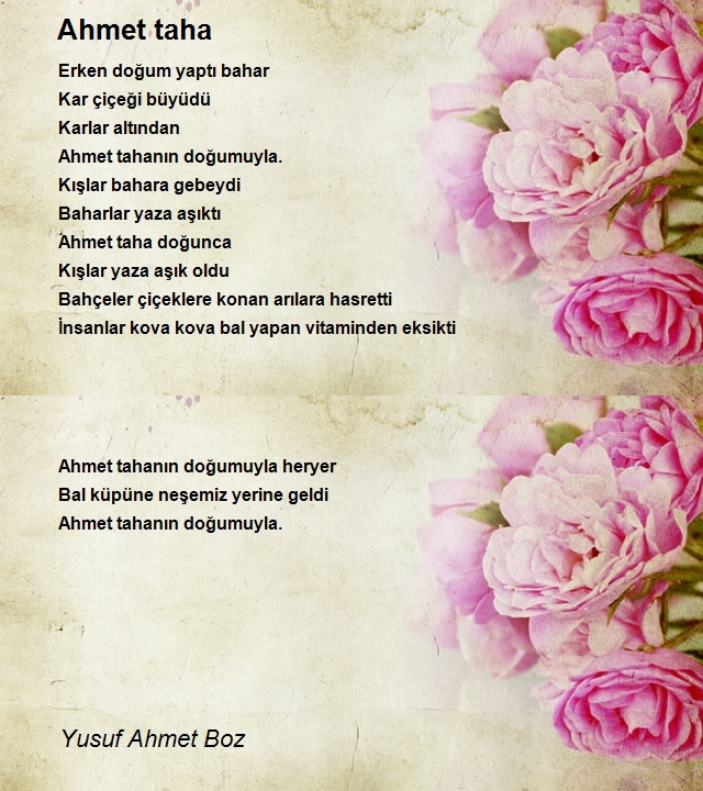 Yusuf Ahmet Boz