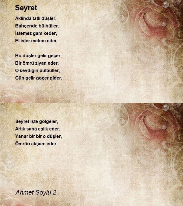 Ahmet Soylu 2