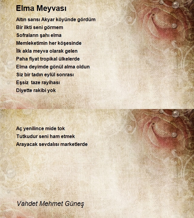 Vahdet Mehmet Güneş