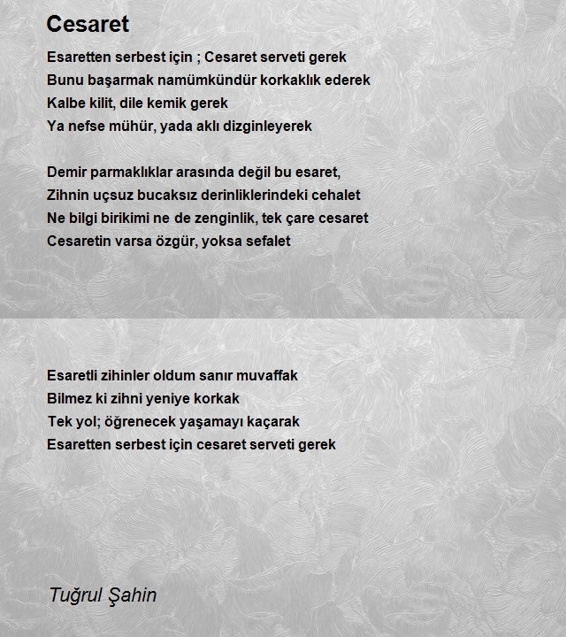 Tuğrul Şahin