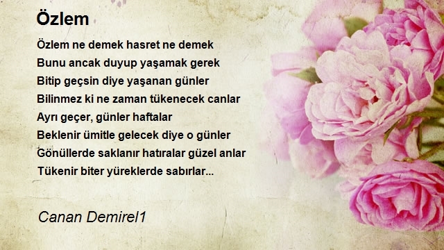 Canan Demirel1