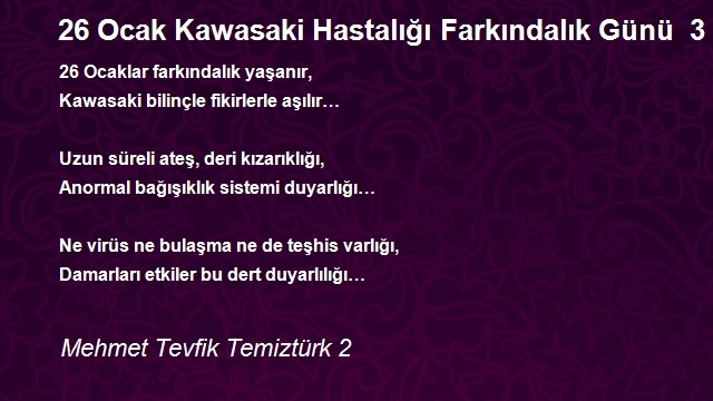 Mehmet Tevfik Temiztürk 2