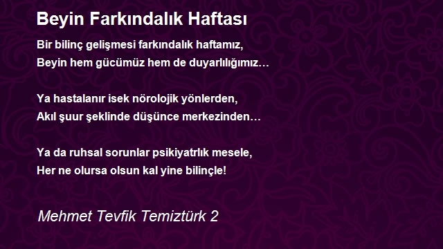 Mehmet Tevfik Temiztürk 2