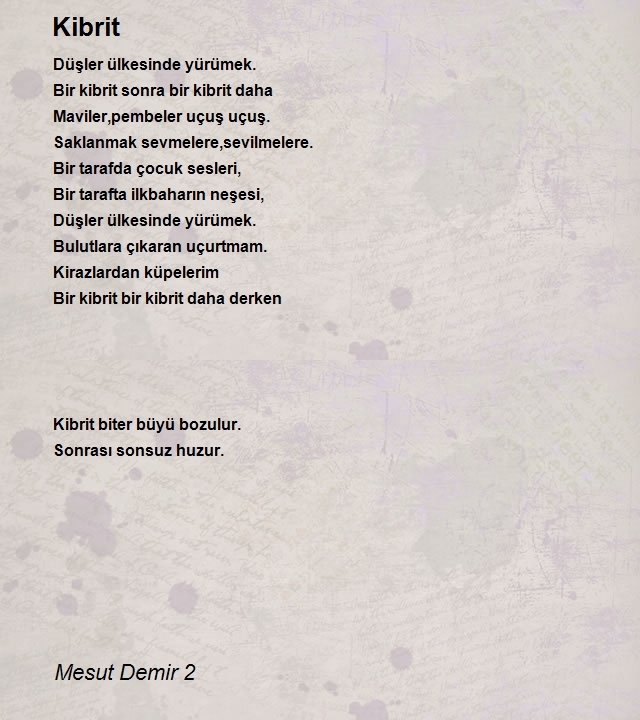 Mesut Demir 2