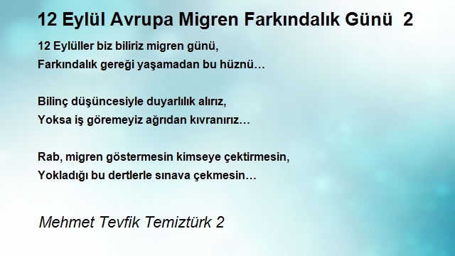 Mehmet Tevfik Temiztürk 2