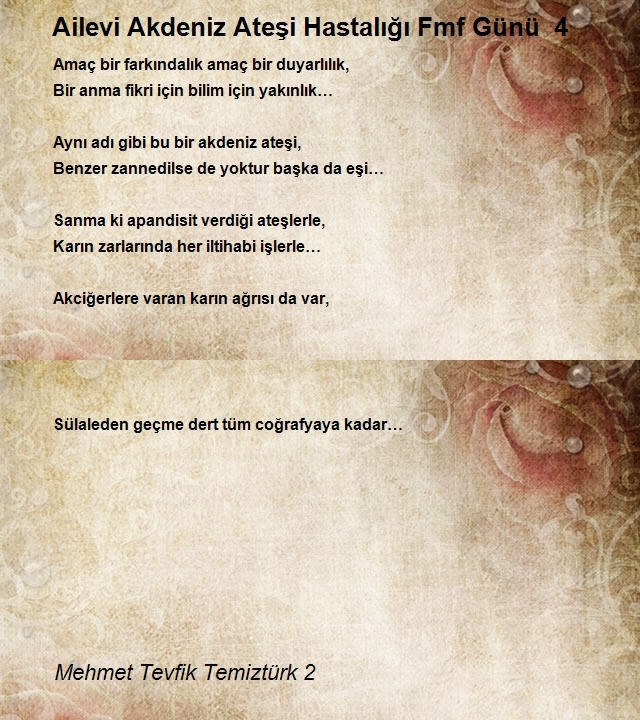 Mehmet Tevfik Temiztürk 2