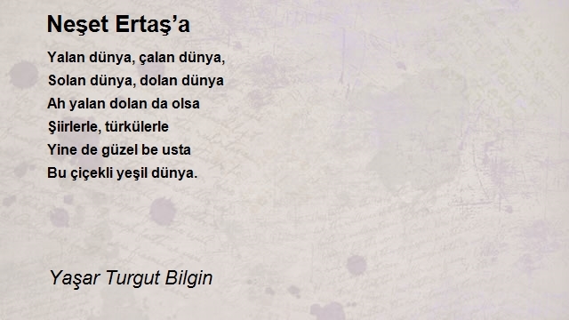 Yaşar Turgut Bilgin