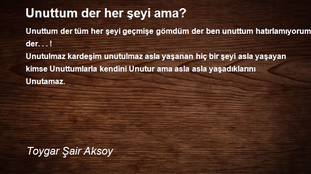 Toygar Şair Aksoy