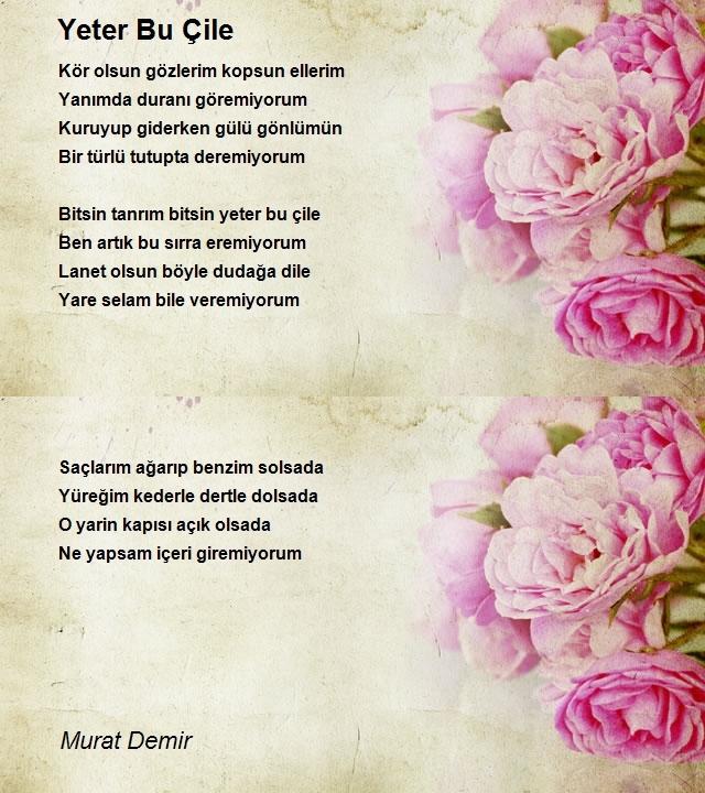 Murat Demir