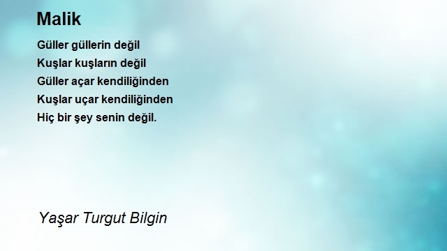 Yaşar Turgut Bilgin