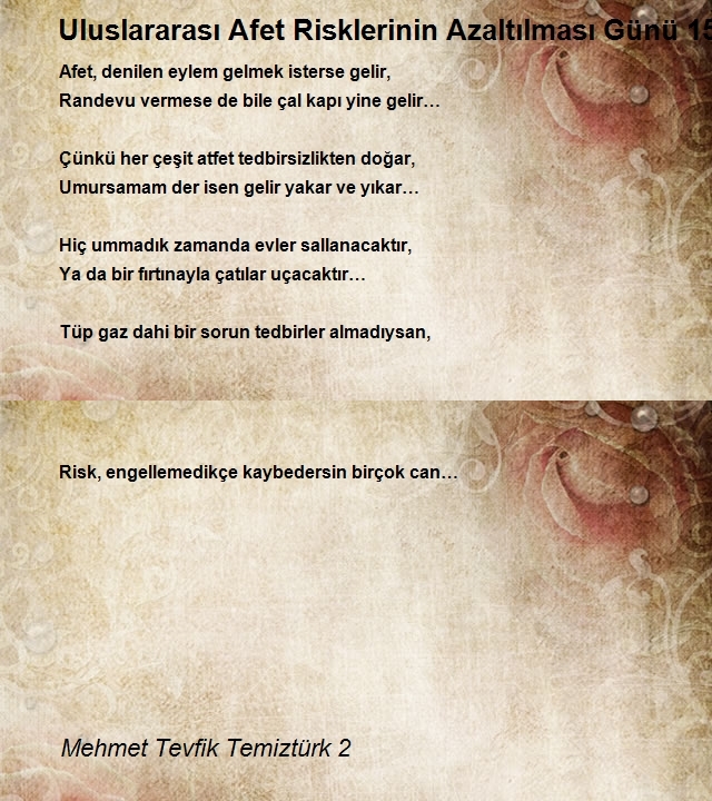 Mehmet Tevfik Temiztürk 2