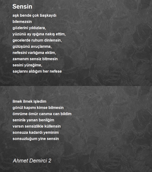 Ahmet Demirci 2