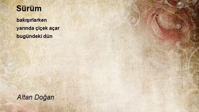 Altan Doğan